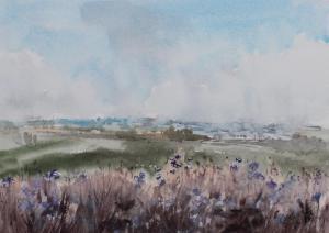 Watercolor: Meadow flowers Watercolor: Meadow flowers