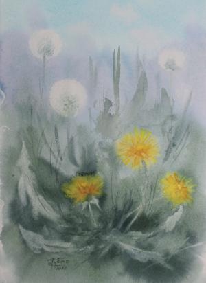 Watercolor: Dandelions Watercolor: Dandelions