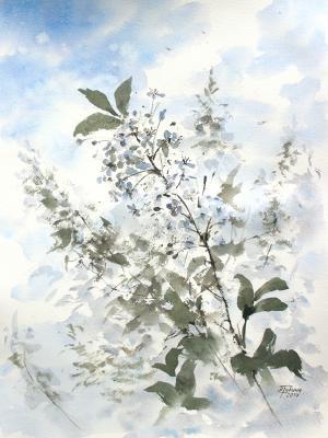 Watercolor: Cherry blossom Watercolor: Cherry blossom