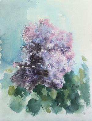 Watercolor: Lilac Watercolor: Lilac