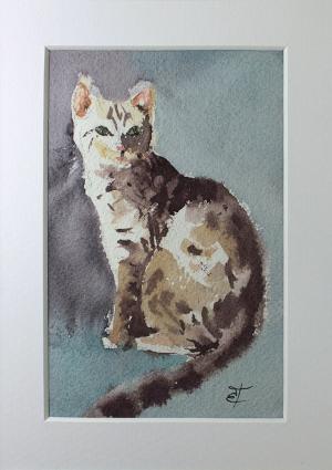 Watercolor: Cat Watercolor: Cat