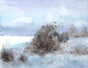 Watercolor: February Watercolor: February
