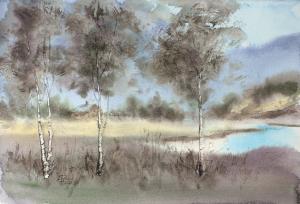 Watercolor: Landscape with birches Watercolor: Landscape with birches
